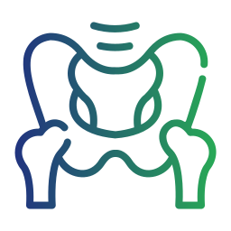 pelvis